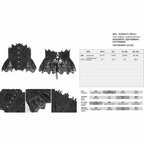 Gothic Lace Corset