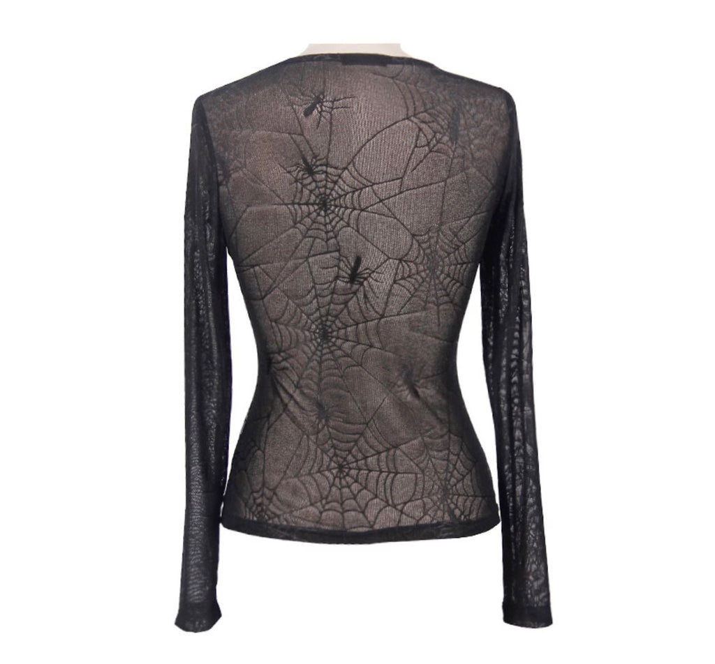 Sheer Cobweb Top