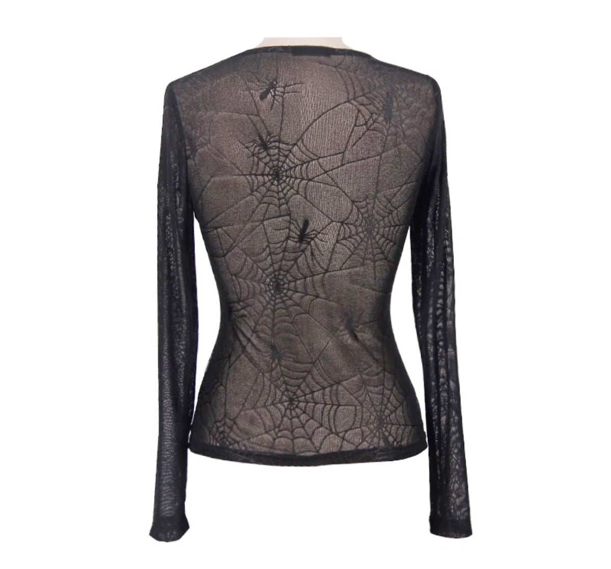 Sheer Cobweb Top