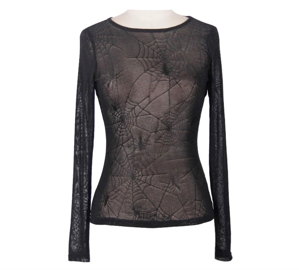 Sheer Cobweb Top