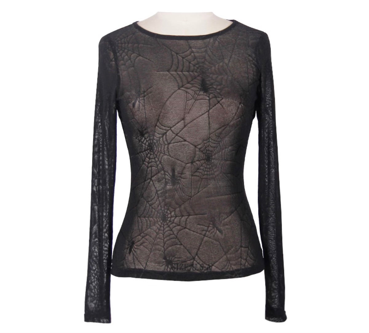 Sheer Cobweb Top