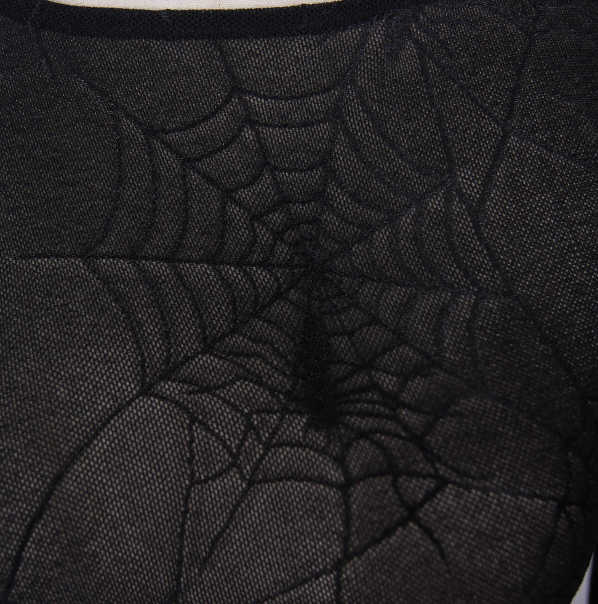 Sheer Cobweb Top